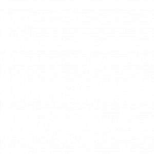 Logo IB PMU Artist in weiß